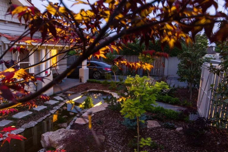 Garden water feature with stone wall and planting